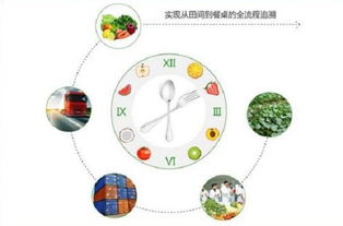 燃油车时代谢幕，物联网如何重塑农产品产销新生态